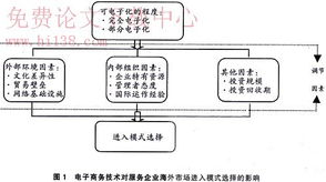 基于電子商務(wù)技術(shù)的服務(wù)企業(yè)海外市場(chǎng)進(jìn)入模式選擇研究——以軟件與網(wǎng)絡(luò)技術(shù)服務(wù)為例